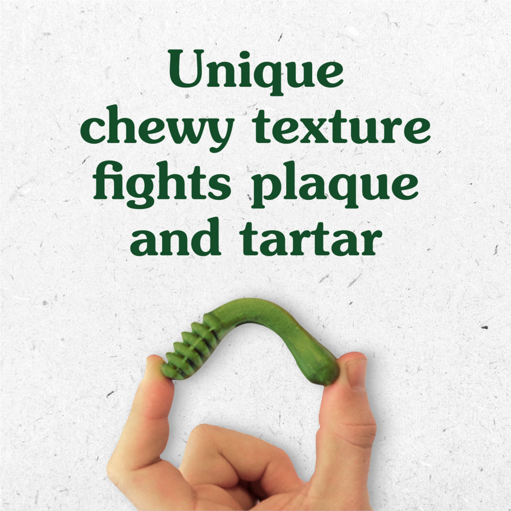 
                  
                    Greenies Petite Original Dental Dog Chews
                  
                