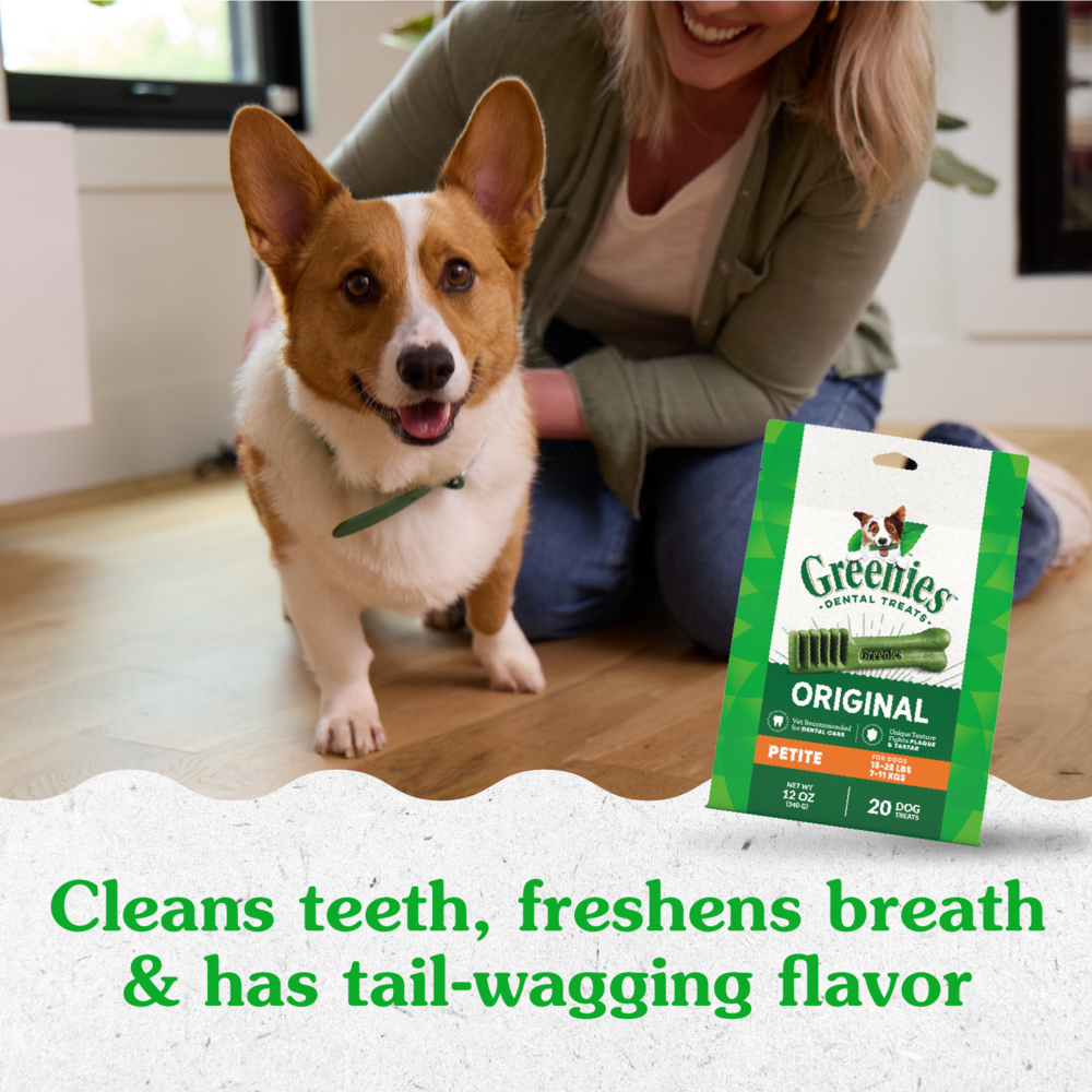 
                  
                    Greenies Petite Original Dental Dog Chews
                  
                