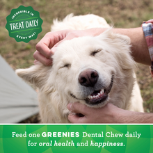 Load image into Gallery viewer, Greenies Regular Original Dental Dog Chews