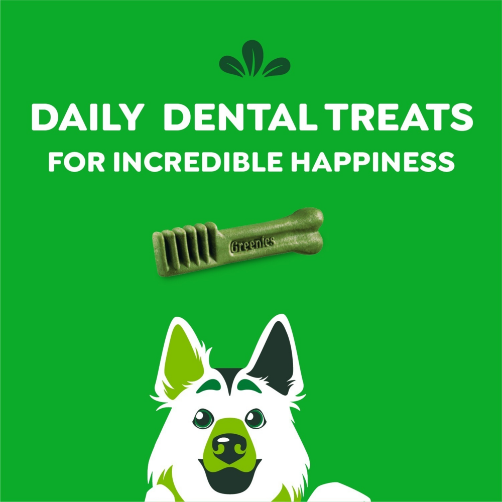 
                  
                    Greenies Large Original Dental Dog Chews
                  
                