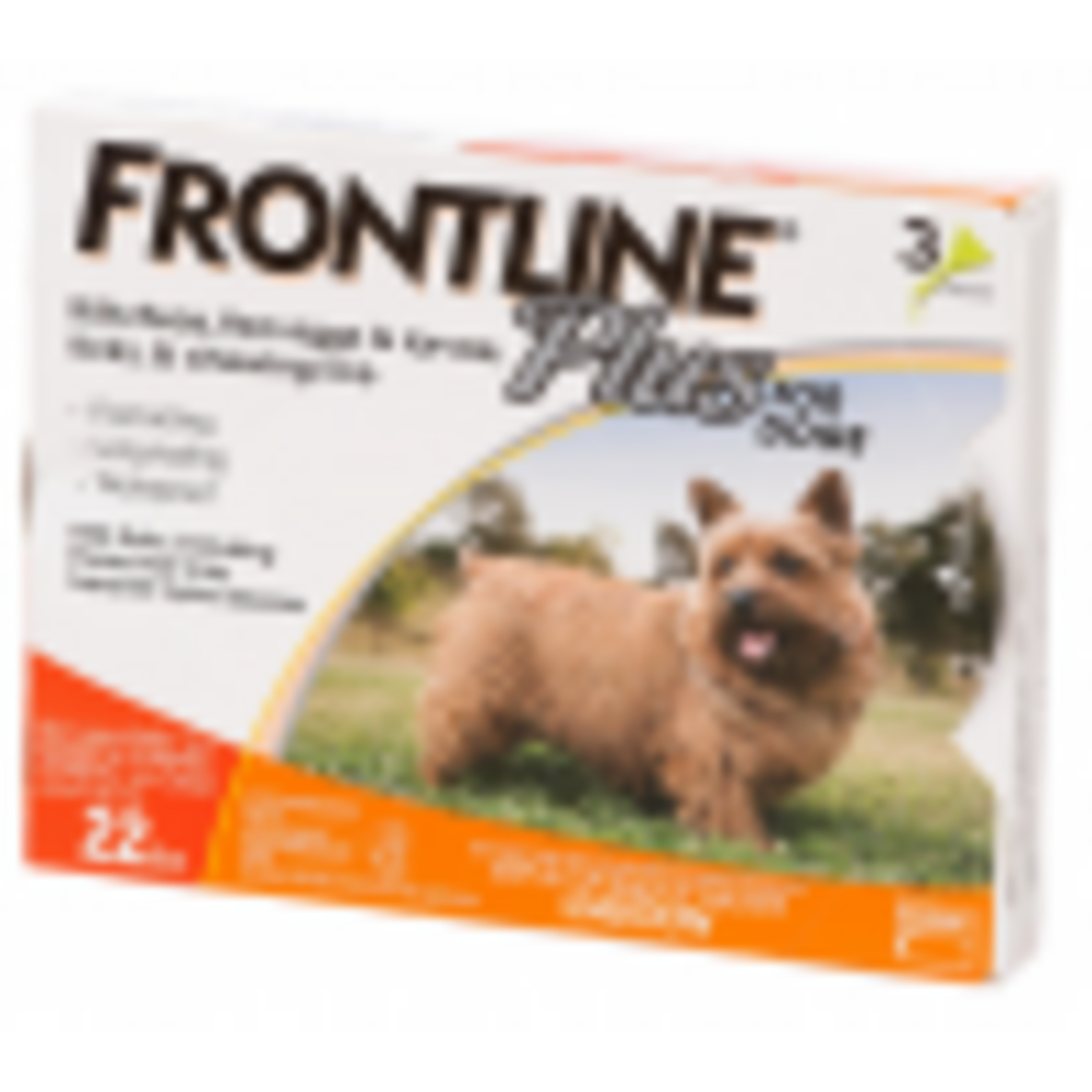 Frontline Plus for Small Dogs and Puppies