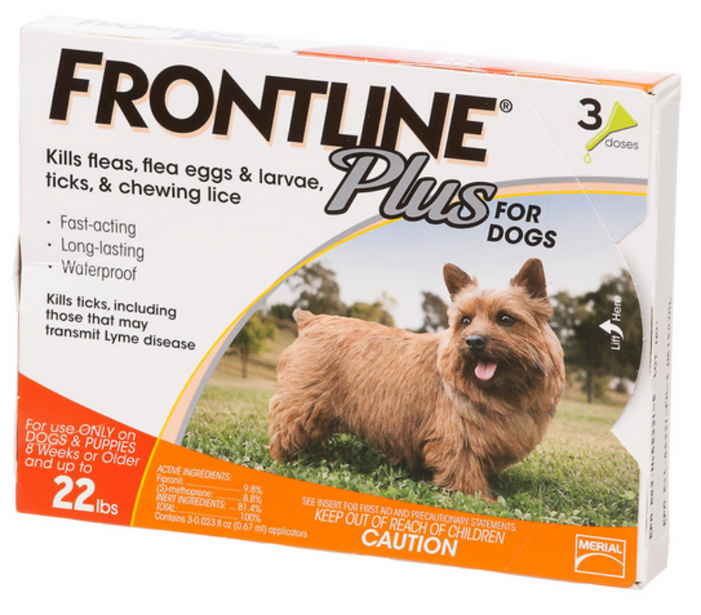 
                  
                    Frontline Plus for Small Dogs and Puppies
                  
                