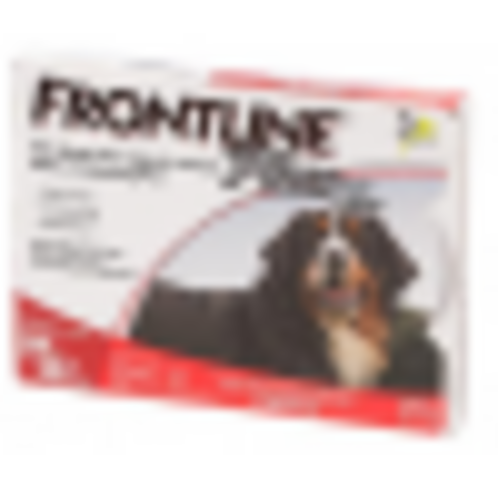 
                  
                    Frontline Plus for Extra Large Dogs
                  
                