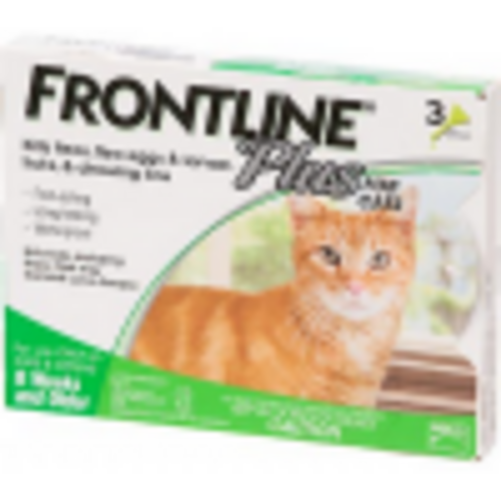 
                  
                    Frontline Plus for Cats
                  
                