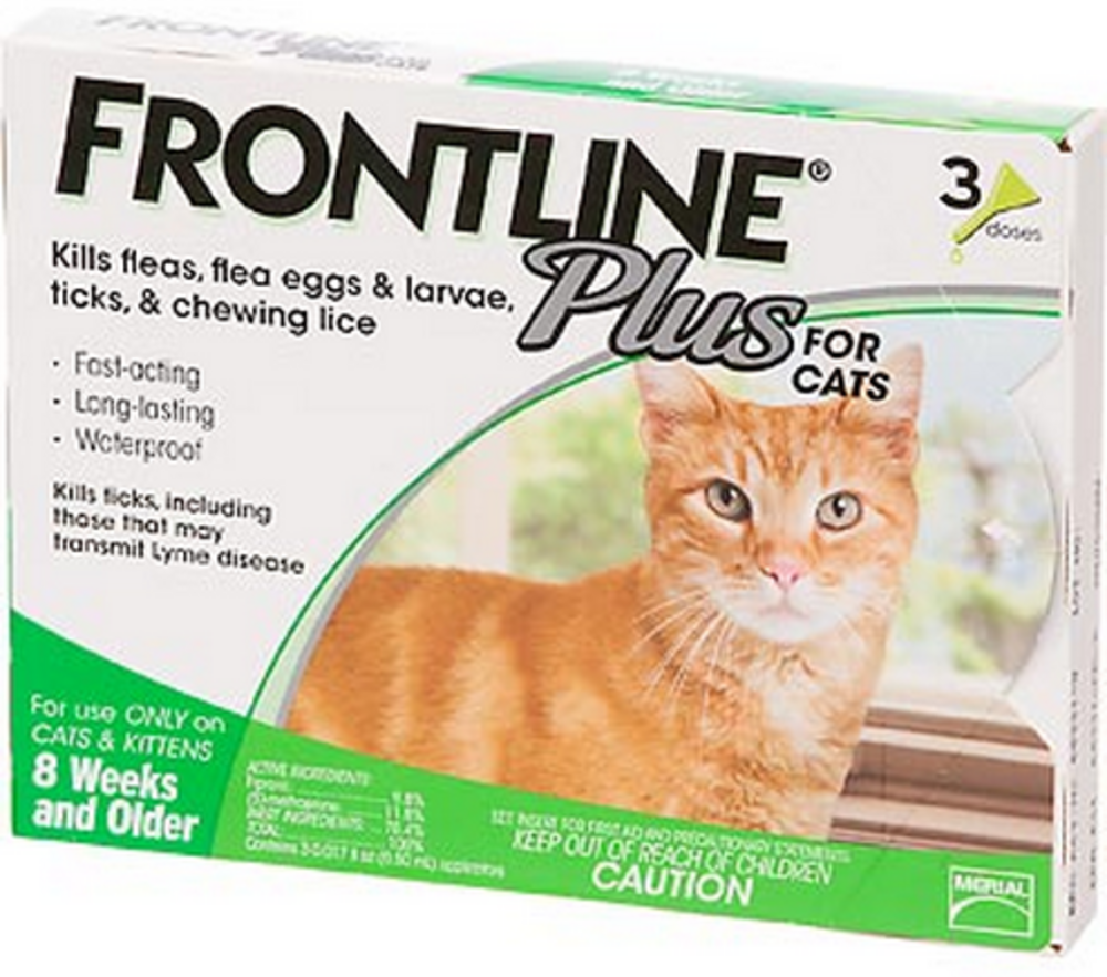 
                  
                    Frontline Plus for Cats
                  
                