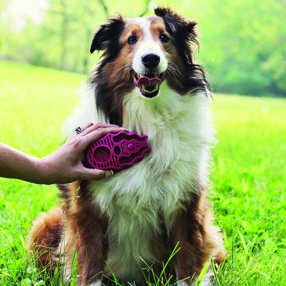 Kong ZoomGroom Brush for Dogs & Puppies