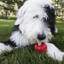 Load image into Gallery viewer, KONG Ziggies Dog Treats