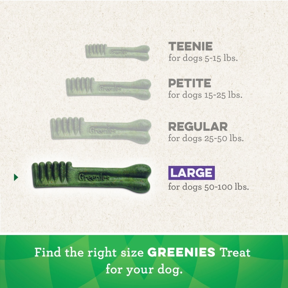 
                  
                    Greenies Aging Care Large Dental Care Dog Treats
                  
                