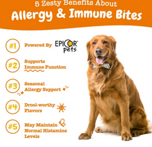 Load image into Gallery viewer, Zesty Paws Aller-Immune Bites for Seasonal Allergies Lamb Flavor Immune Function   Sensitive Skin &amp; Gut Health for Dogs