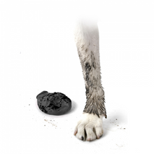 Load image into Gallery viewer, Pawz Black Dog Boots