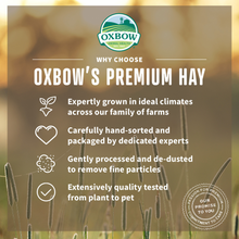 Load image into Gallery viewer, Oxbow Animal Health Western Timothy Hay All Natural Hay for Rabbits Guinea Pigs Chinchillas Hamsters &amp; Gerbils