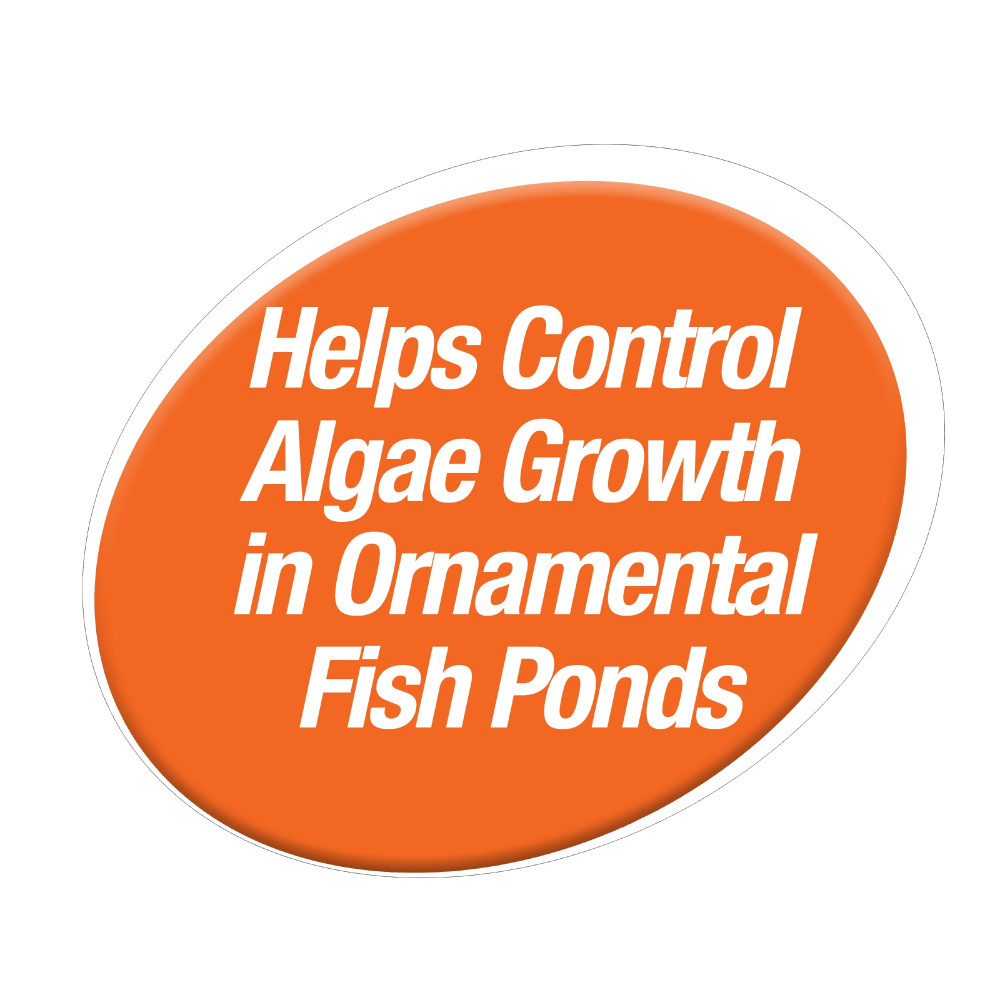 
                  
                    Tetra Algae Control Pond Anti-Algae Block Water Treatment
                  
                