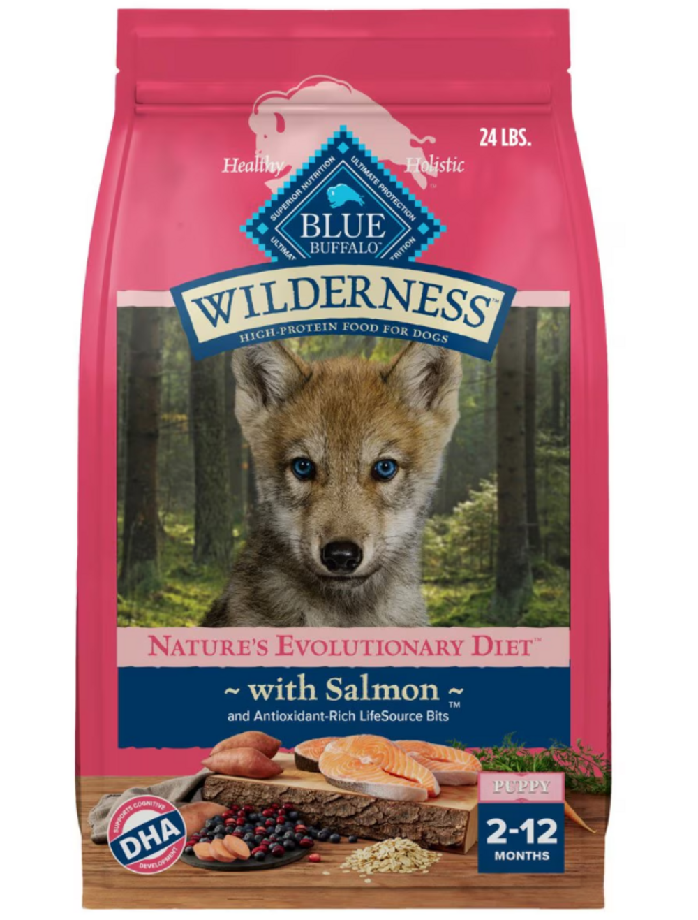Blue Buffalo Wilderness Salmon Puppy Food