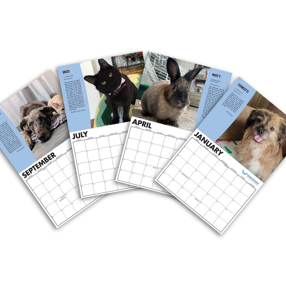 
                  
                    2025 Wisconsin Humane Society Calendar
                  
                