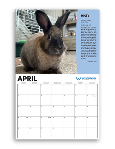 2025 Wisconsin Humane Society Calendar