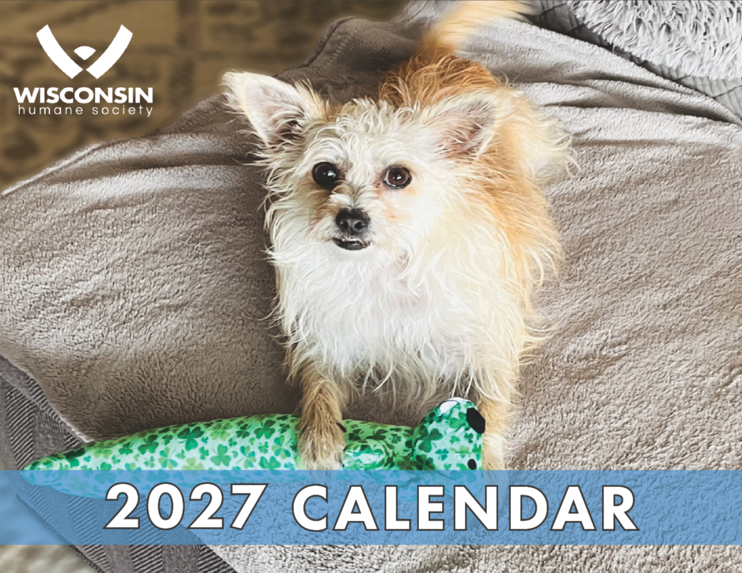 PRE-ORDER 2027 Wisconsin Humane Society Calendar