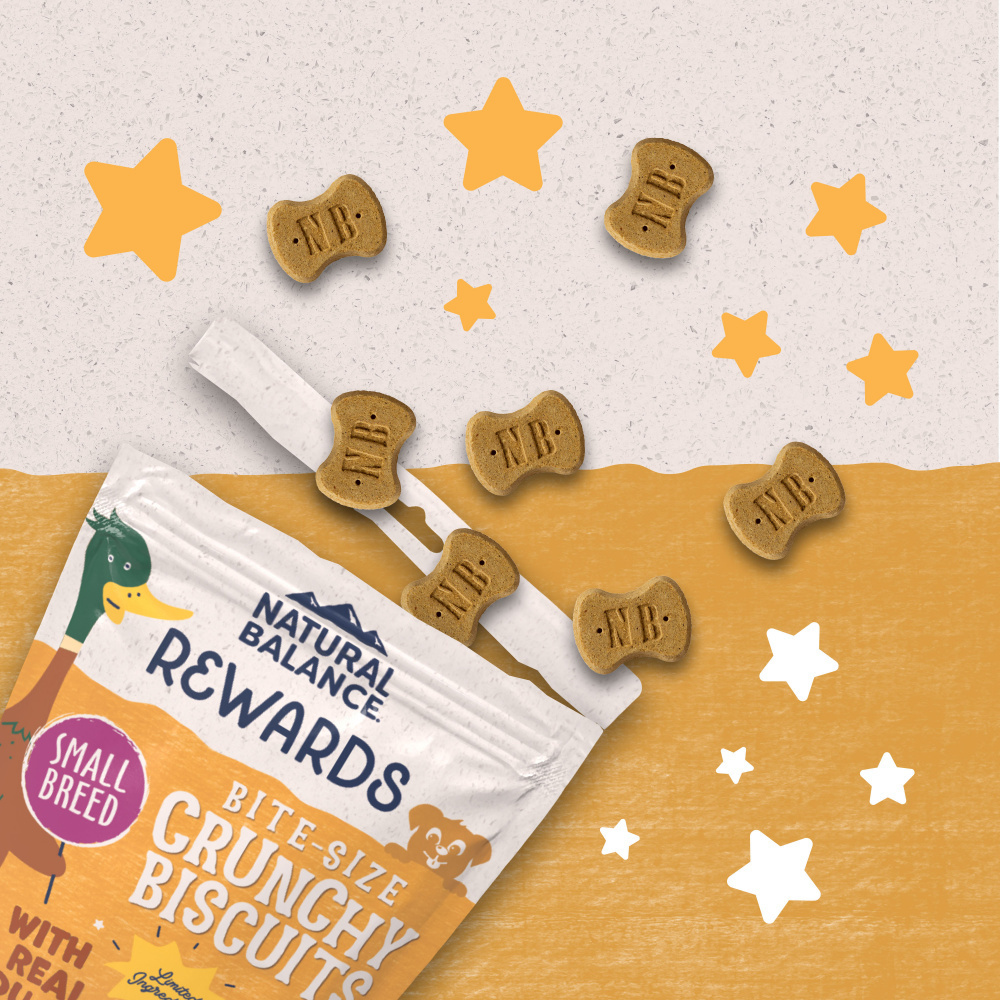 
                  
                    Natural Balance Rewards Crunchy Biscuits With Real Duck Dog Treats
                  
                