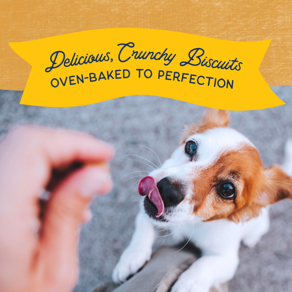 
                  
                    Natural Balance Rewards Crunchy Biscuits With Real Duck Dog Treats
                  
                