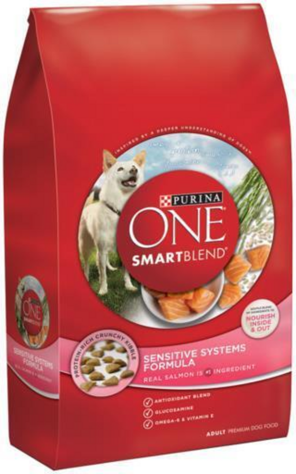Purina One Plus Skin & Coat Dry Dog Food