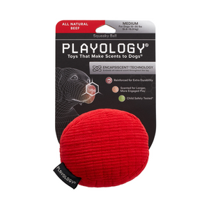 Playology Plush Ball Beef Scented Dog Toy