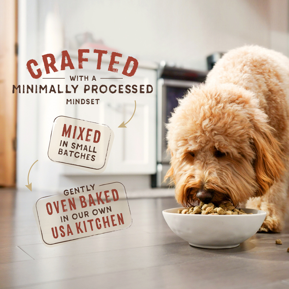 
                  
                    Stella & Chewy's SuperBlends Raw Blend Wholesome Grains Cage Free Chicken & Duck Recipe with Superfoods
                  
                