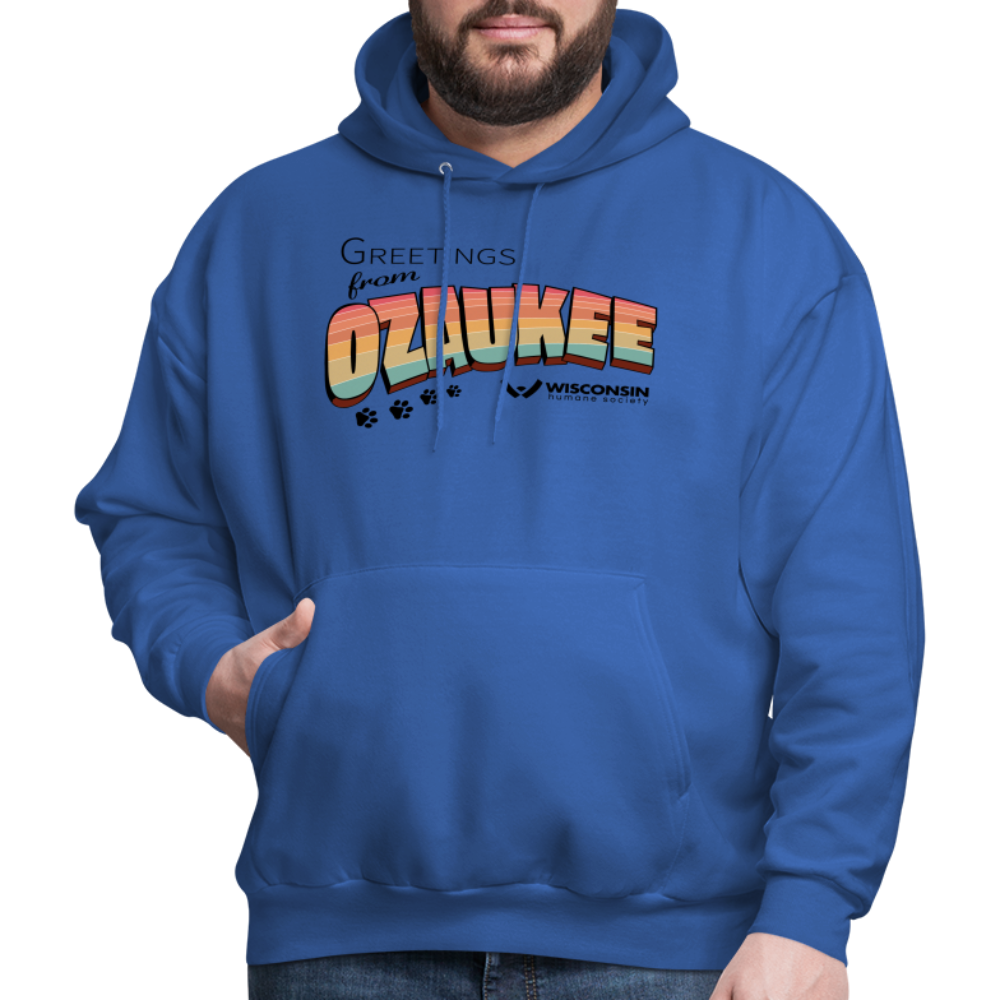 
                  
                    WHS "Greetings from Ozaukee" Classic Hoodie - royal blue
                  
                