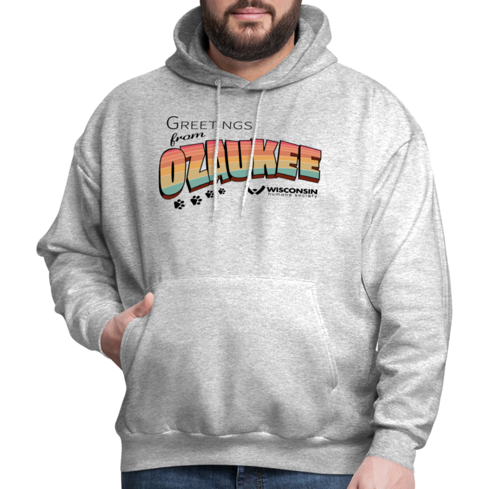 
                  
                    WHS "Greetings from Ozaukee" Classic Hoodie - heather gray
                  
                