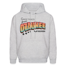 Load image into Gallery viewer, WHS &quot;Greetings from Ozaukee&quot; Classic Hoodie - ash 