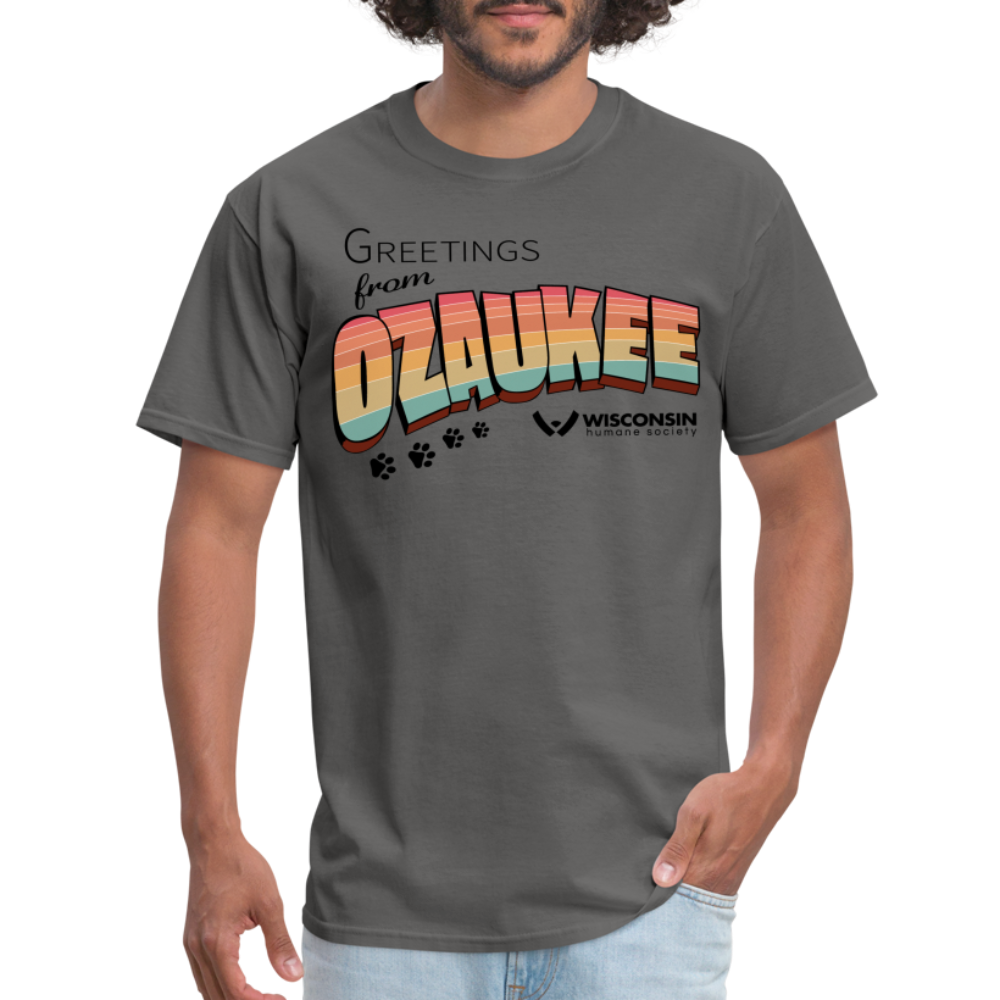 
                  
                    WHS "Greetings from Ozaukee" Classic T-Shirt - charcoal
                  
                