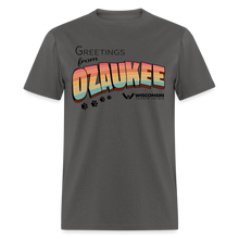 Load image into Gallery viewer, WHS &quot;Greetings from Ozaukee&quot; Classic T-Shirt - charcoal