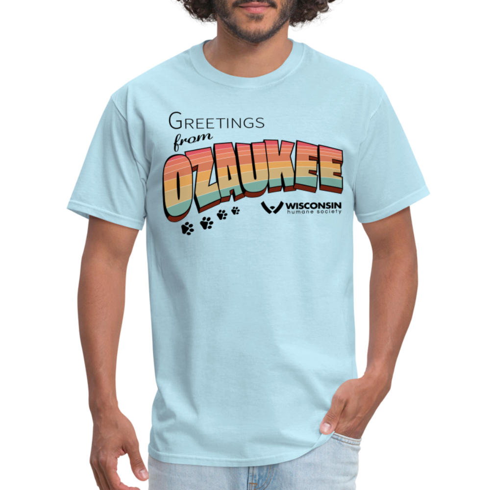 
                  
                    WHS "Greetings from Ozaukee" Classic T-Shirt - powder blue
                  
                