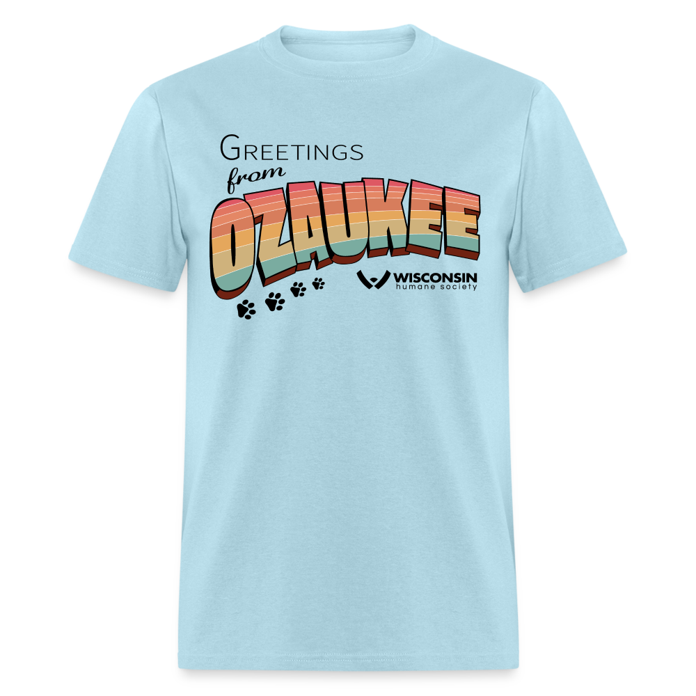 
                  
                    WHS "Greetings from Ozaukee" Classic T-Shirt - powder blue
                  
                