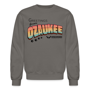 WHS "Greetings from Ozaukee" Classic Crewneck Sweatshirt - asphalt gray