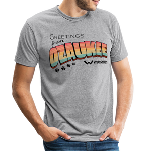 WHS "Greetings from Ozaukee" Tri-Blend T-Shirt - heather grey