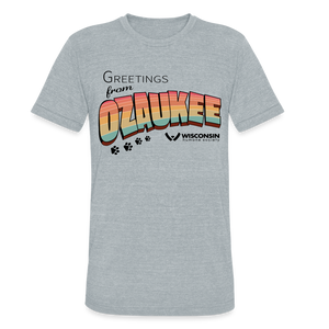 WHS "Greetings from Ozaukee" Tri-Blend T-Shirt - heather grey