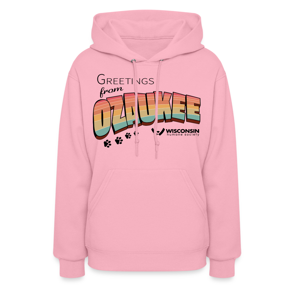 
                  
                    WHS "Greetings from Ozaukee" Contoured Hoodie - classic pink
                  
                