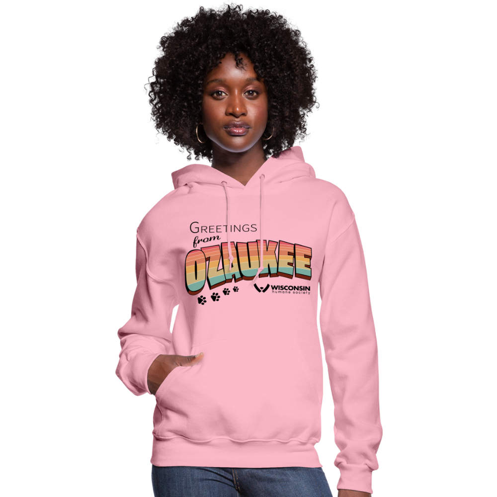 
                  
                    WHS "Greetings from Ozaukee" Contoured Hoodie - classic pink
                  
                