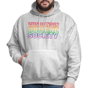 WHS Pride Rainbow Hoodie - ash 