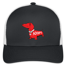 Load image into Gallery viewer, &quot;Big Red Dog&quot; Flexfit Baseball Cap - dark gray/white