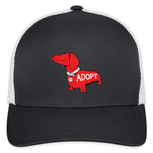 "Big Red Dog" Flexfit Baseball Cap - dark gray/white