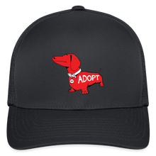 Load image into Gallery viewer, &quot;Big Red Dog&quot; Flexfit Baseball Cap - charcoal