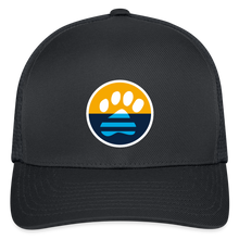 Load image into Gallery viewer, MKE Flag Paw Flexfit Baseball Cap - charcoal