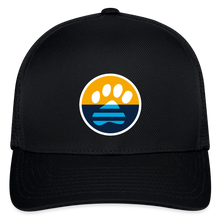 Load image into Gallery viewer, MKE Flag Paw Flexfit Baseball Cap - black