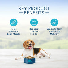 Load image into Gallery viewer, Blue Buffalo Life Protection Formula Healthy Weight Adult Chicken &amp; Brown Rice Recipe Dry Dog Food