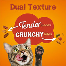 Load image into Gallery viewer, Friskies Tender and Crunchy Combo Dry Cat Food