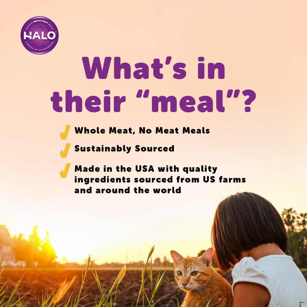 
                  
                    Halo Holistic Grain Free Adult Turkey Stew Canned Cat Food
                  
                