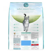 Load image into Gallery viewer, Purina ONE Sensitive Systems Dry Cat Food