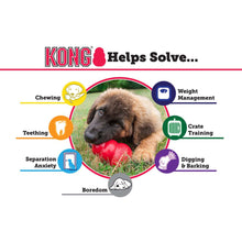 Load image into Gallery viewer, KONG Puppy Toy