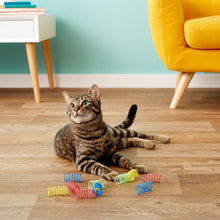 Load image into Gallery viewer, Ethical Pet Colorful Springs Wide Cat Toy