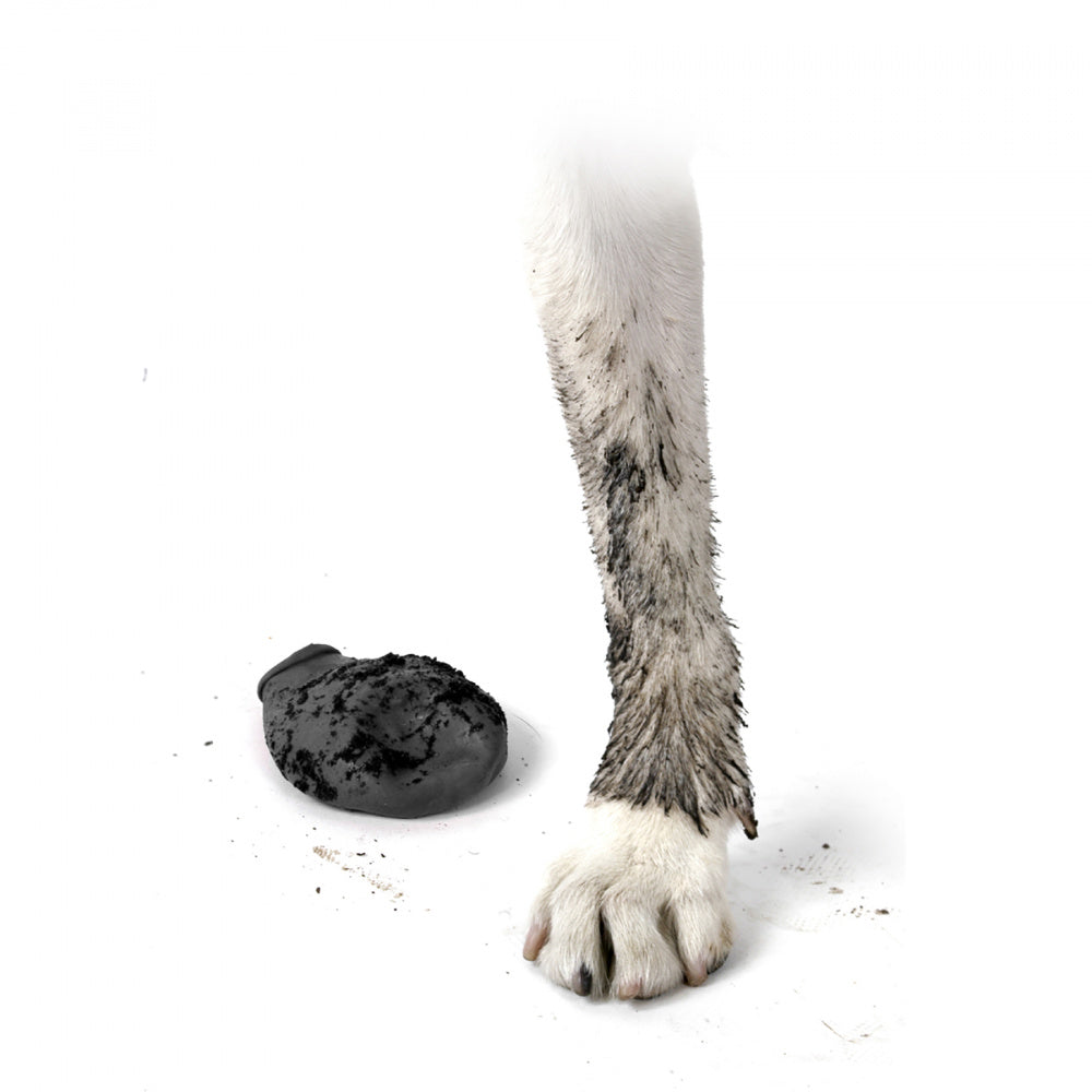 
                  
                    Pawz Black Dog Boots
                  
                